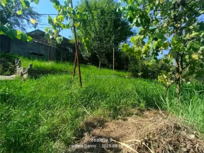 Resita Casa Zona Gradina Zoologica - foto 12