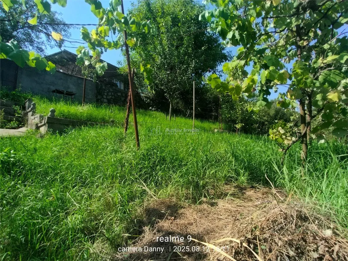Resita Casa Zona Gradina Zoologica - foto 12