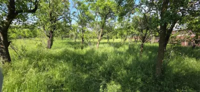 Teren 3000 mp intravilan Razvad Redeventei - foto 4