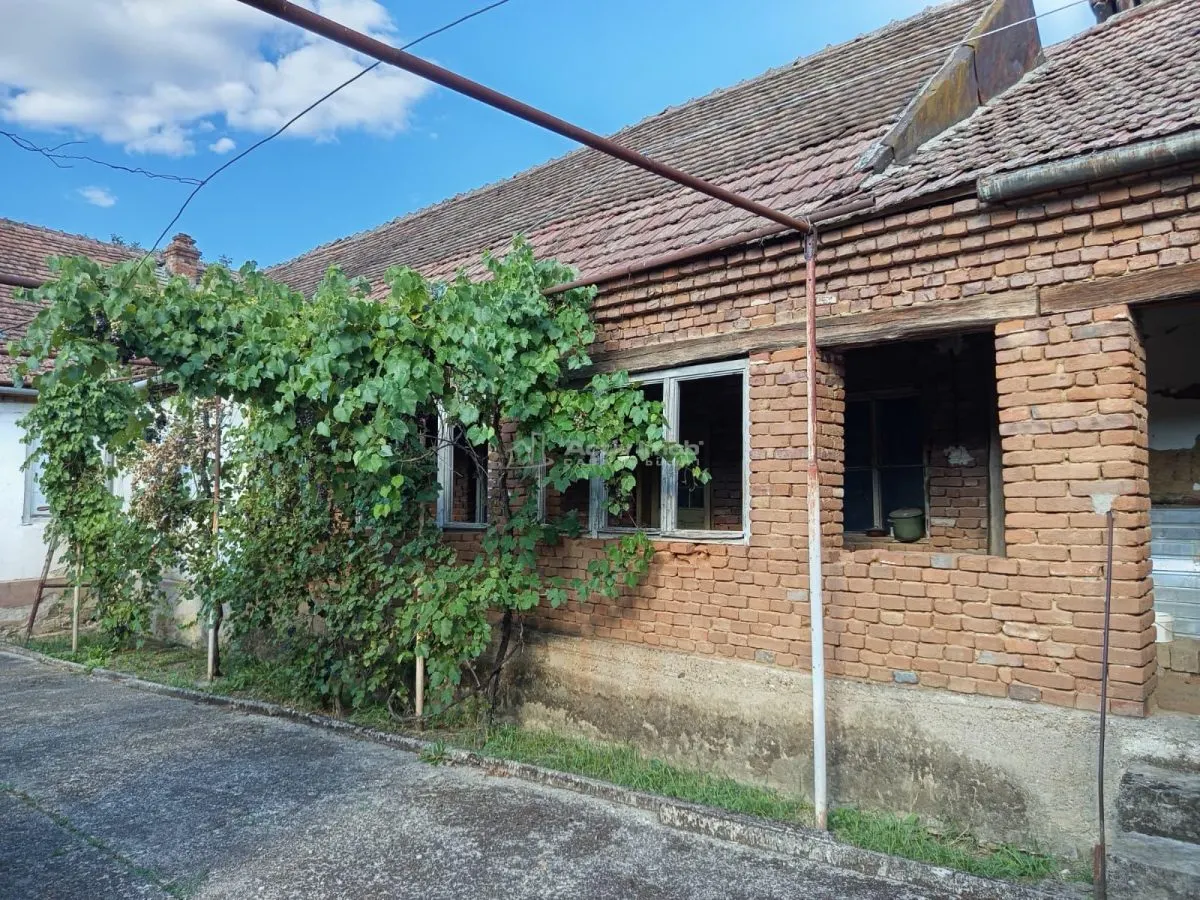House / villa for sale 191 sqm in Naidas - foto 13