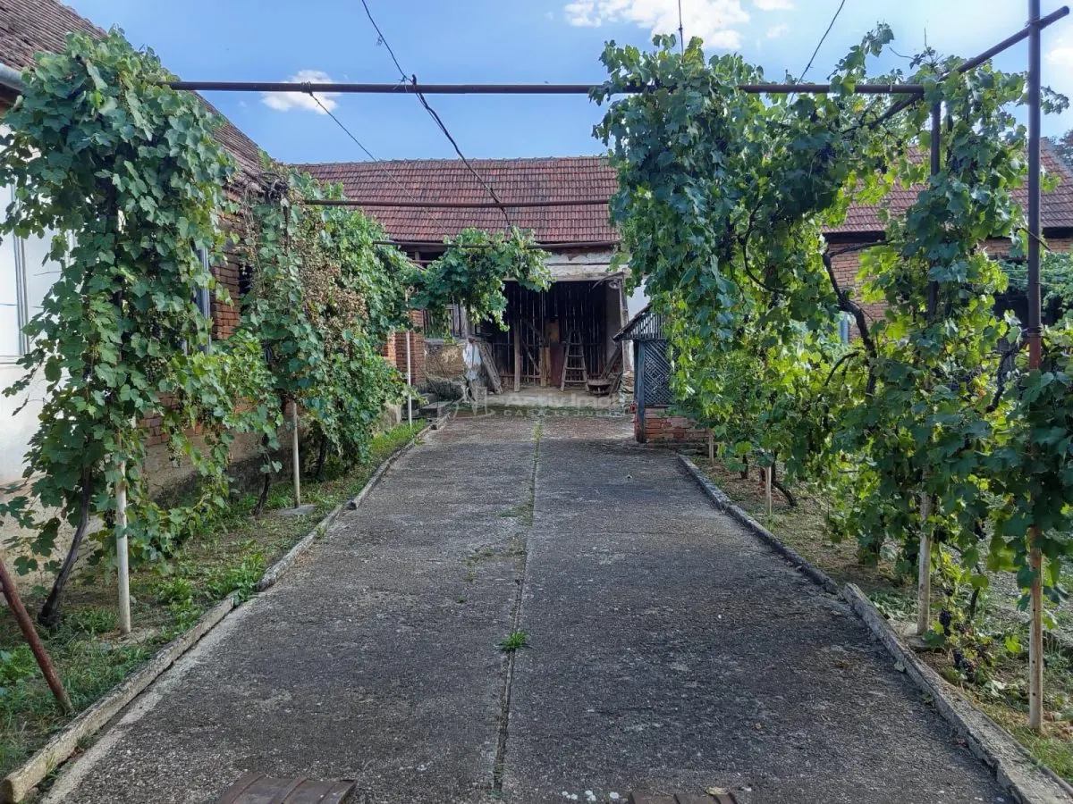 House / villa for sale 191 sqm in Naidas - foto 17