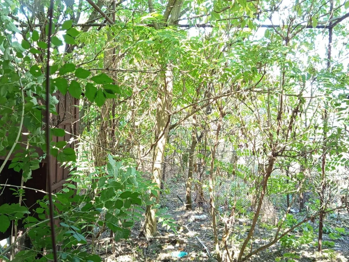 伊亚姆，5卧室房屋带地皮，1,439平方米地块，可协商 - foto 12