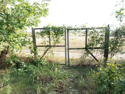 House / villa for sale 135 sqm in Ciuchici - foto 11