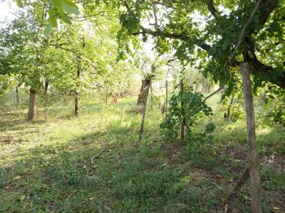 House / villa for sale 135 sqm in Ciuchici - foto 13