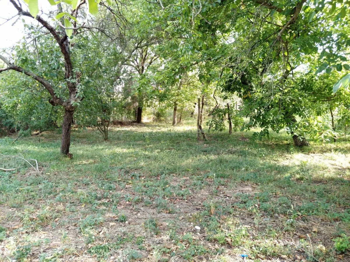 House / villa for sale 135 sqm in Ciuchici - foto 14