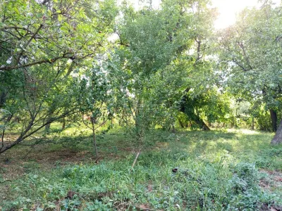 House / villa for sale 135 sqm in Ciuchici - foto 15