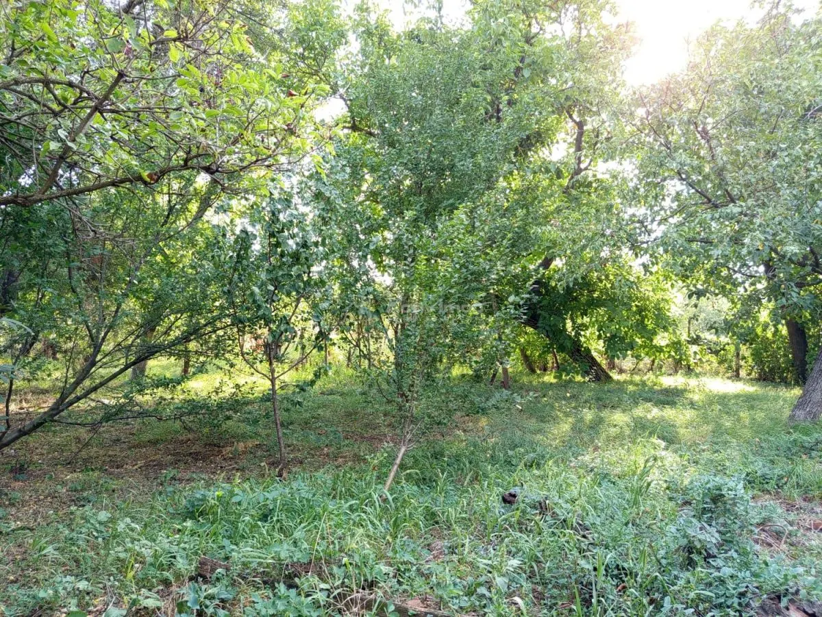 House / villa for sale 135 sqm in Ciuchici - foto 15