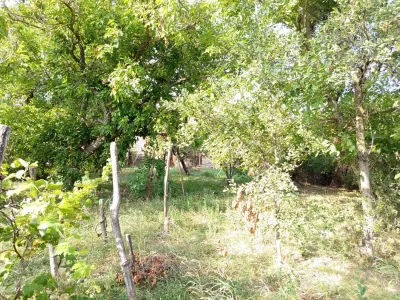 House / villa for sale 135 sqm in Ciuchici - foto 16