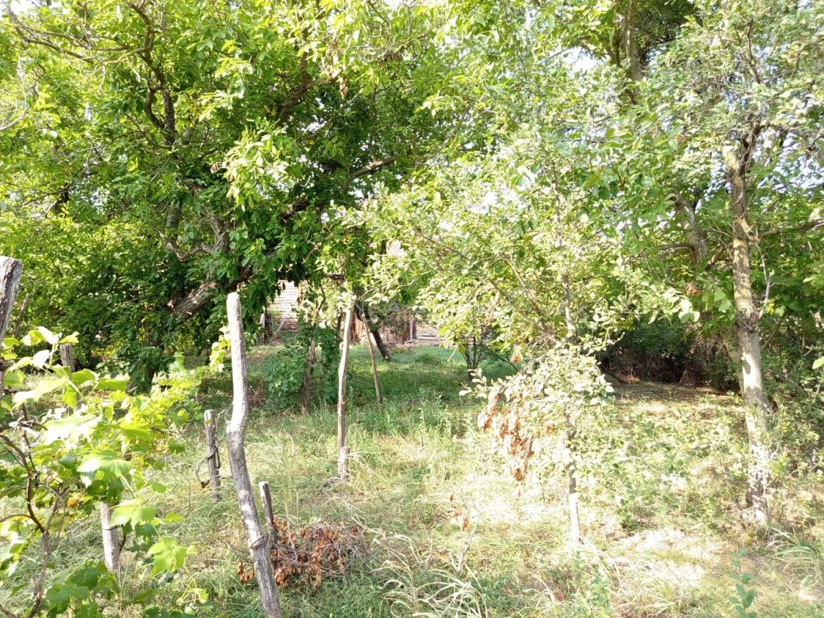 House / villa for sale 135 sqm in Ciuchici - foto 16