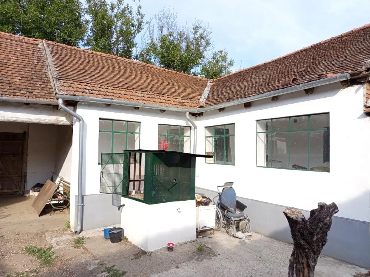 House / villa for sale 135 sqm in Ciuchici - foto 3