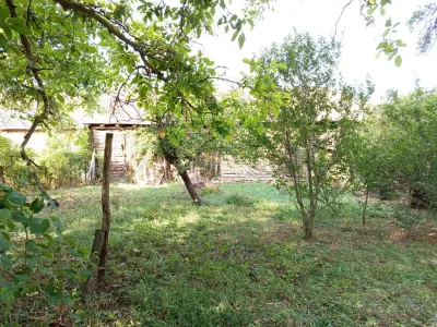 House / villa for sale 135 sqm in Ciuchici - foto 10