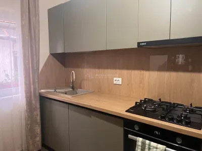 Lugoj, Casa 130 Mp. Teren 250 Mp. Central, Zona ZERO - foto 20