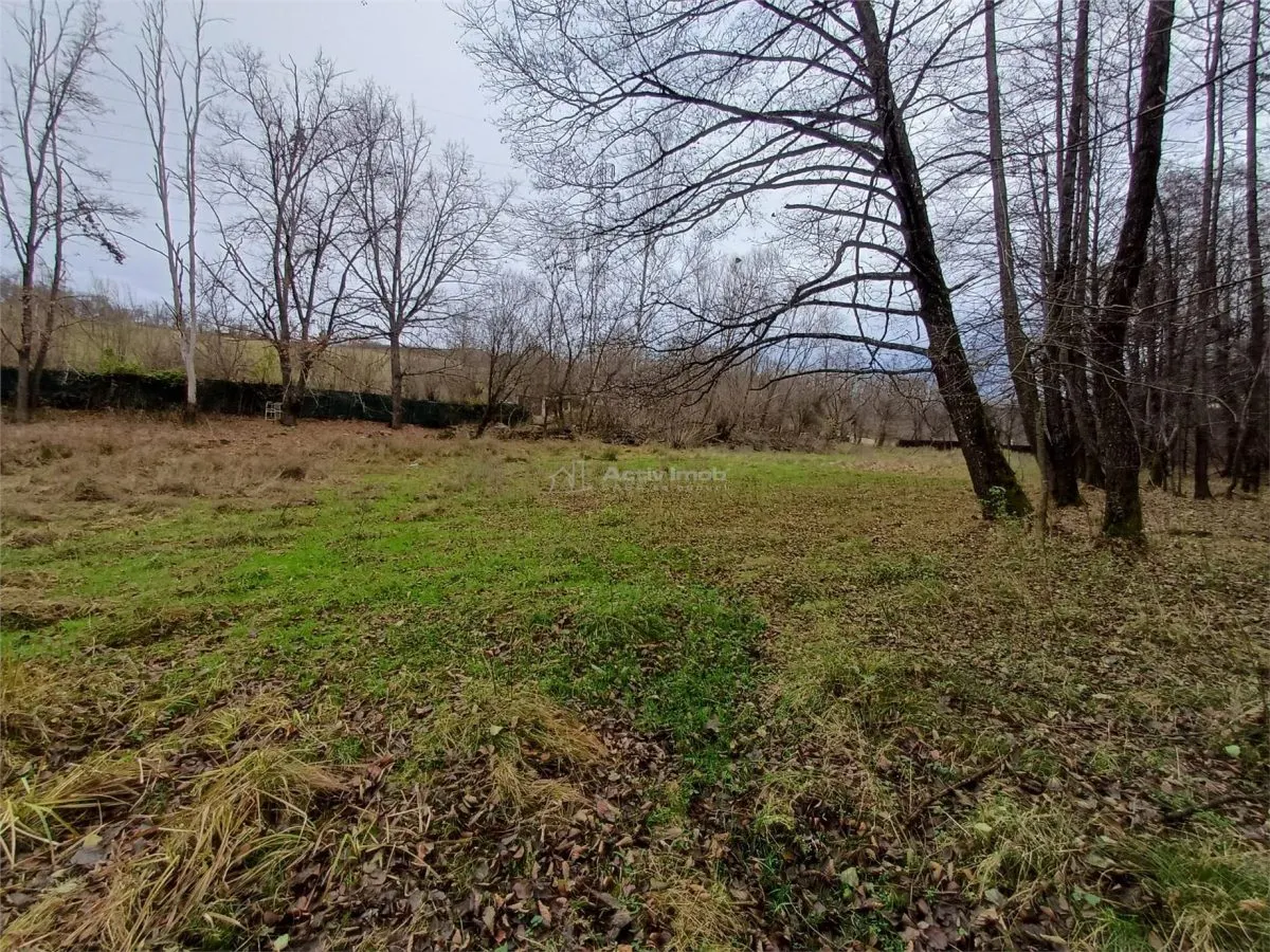 Resita, Teren Drept Intravilan, Langa Prau si Drum, Parcelabil, 4500 Mp., 15 Euro/Mp., Renk - foto 11