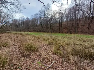 Resita, Teren Drept Intravilan, Langa Prau si Drum, Parcelabil, 4500 Mp., 15 Euro/Mp., Renk - foto 12