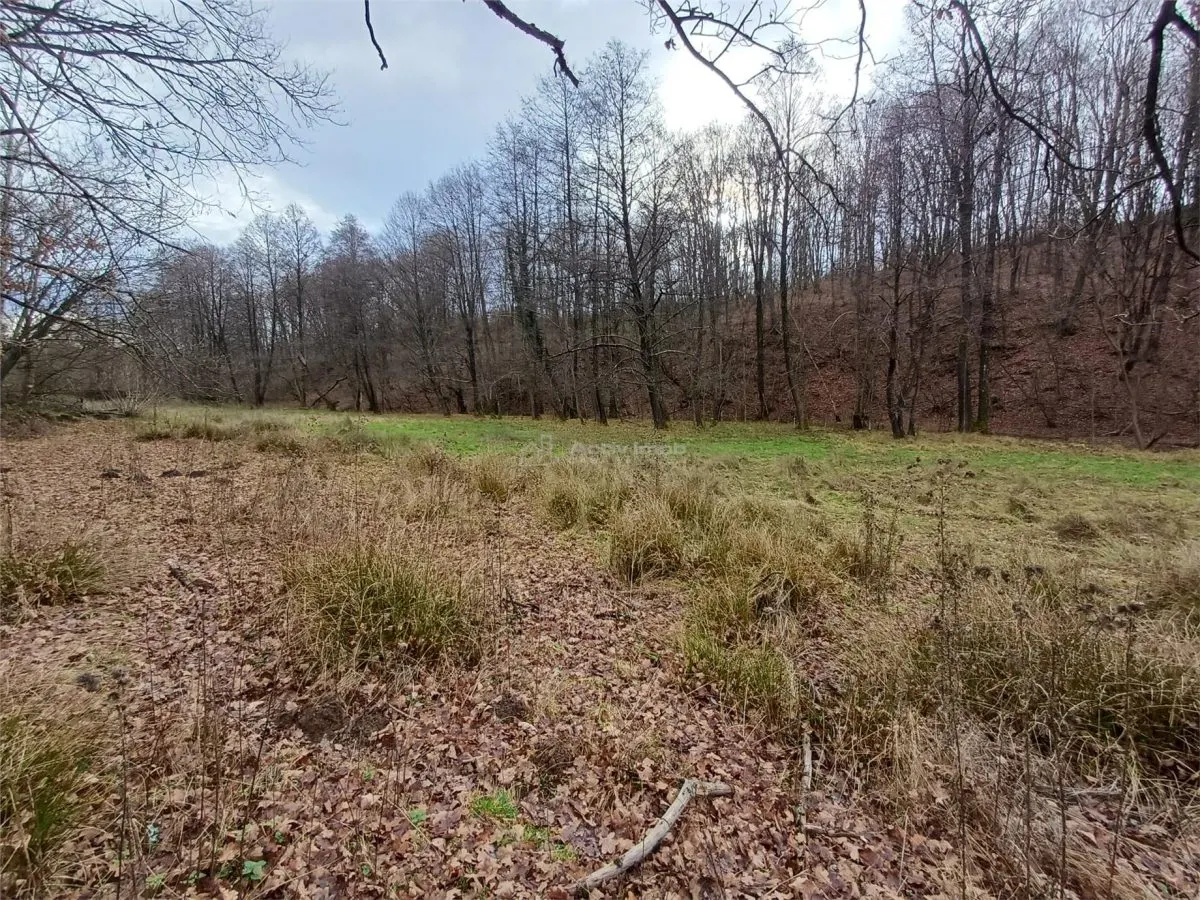 Resita, Teren Drept Intravilan, Langa Prau si Drum, Parcelabil, 4500 Mp., 15 Euro/Mp., Renk - foto 12