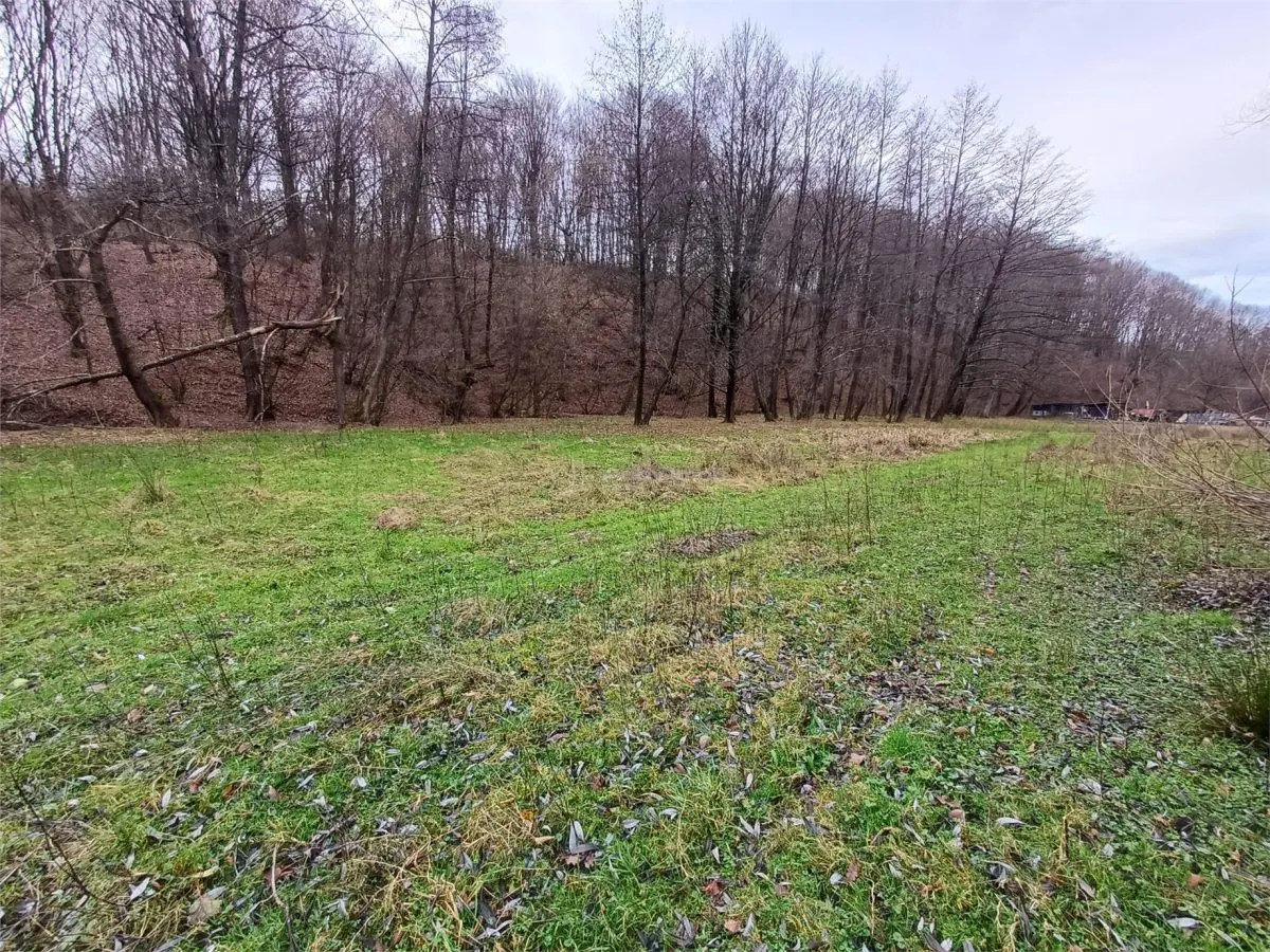 Resita, Teren Drept Intravilan, Langa Prau si Drum, Parcelabil, 4500 Mp., 15 Euro/Mp., Renk - foto 13