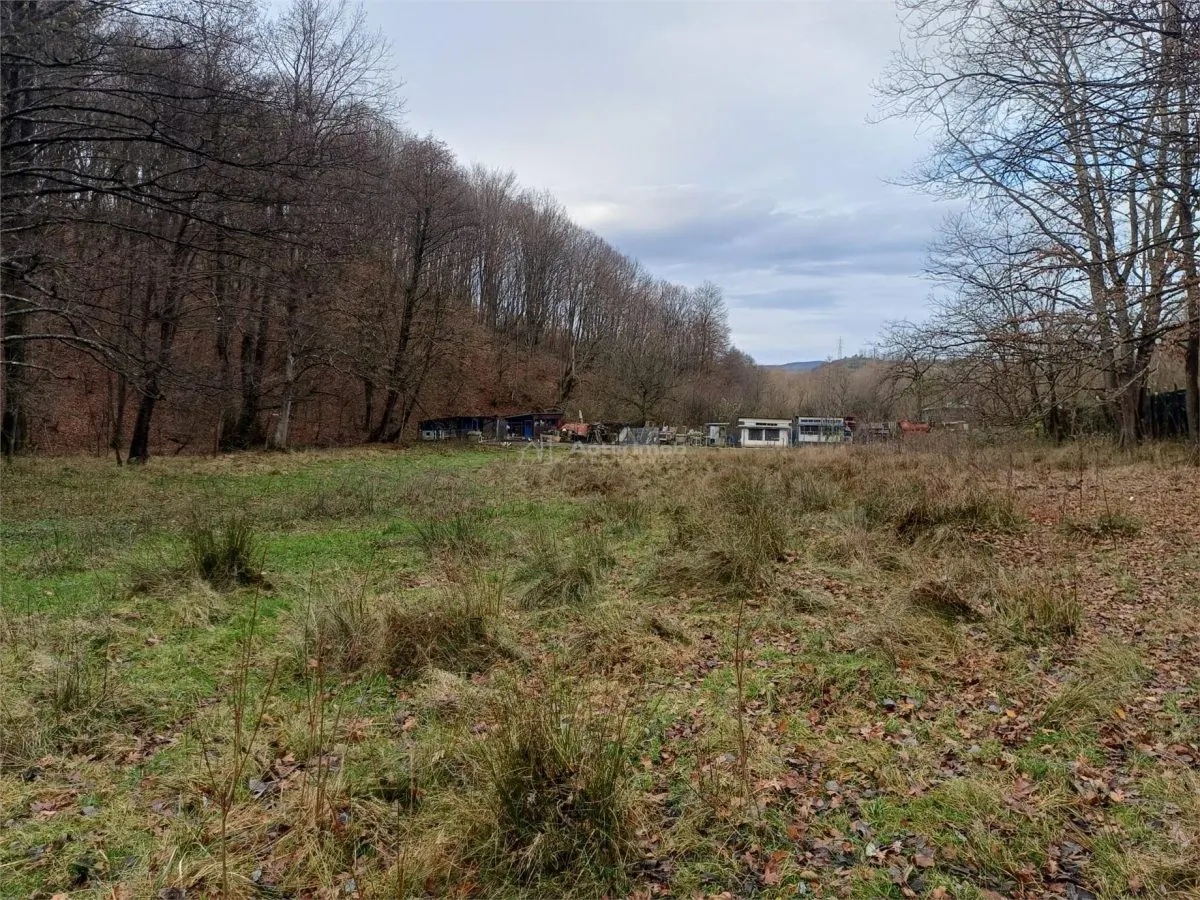 Resita, Teren Drept Intravilan, Langa Prau si Drum, Parcelabil, 4500 Mp., 15 Euro/Mp., Renk - foto 14