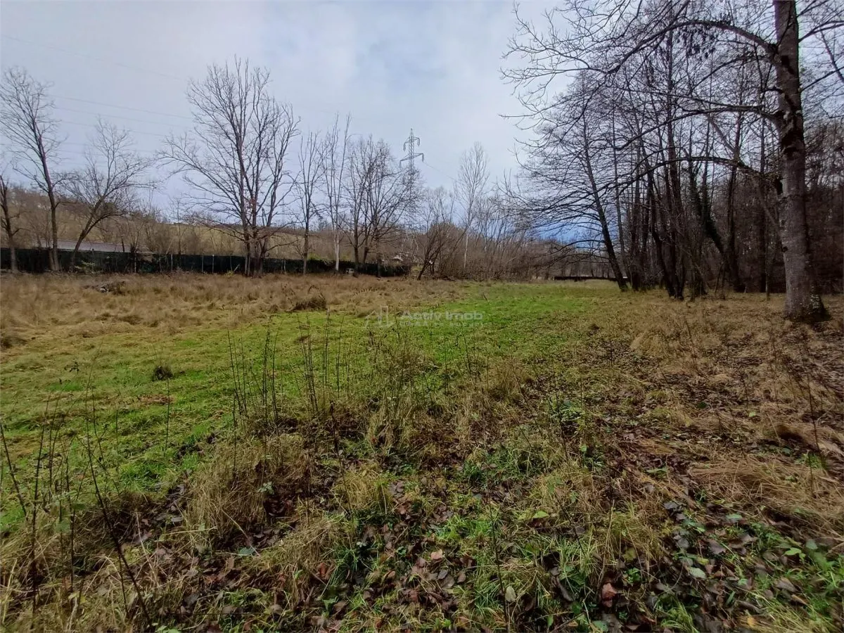 Resita, Teren Drept Intravilan, Langa Prau si Drum, Parcelabil, 4500 Mp., 15 Euro/Mp., Renk - foto 6