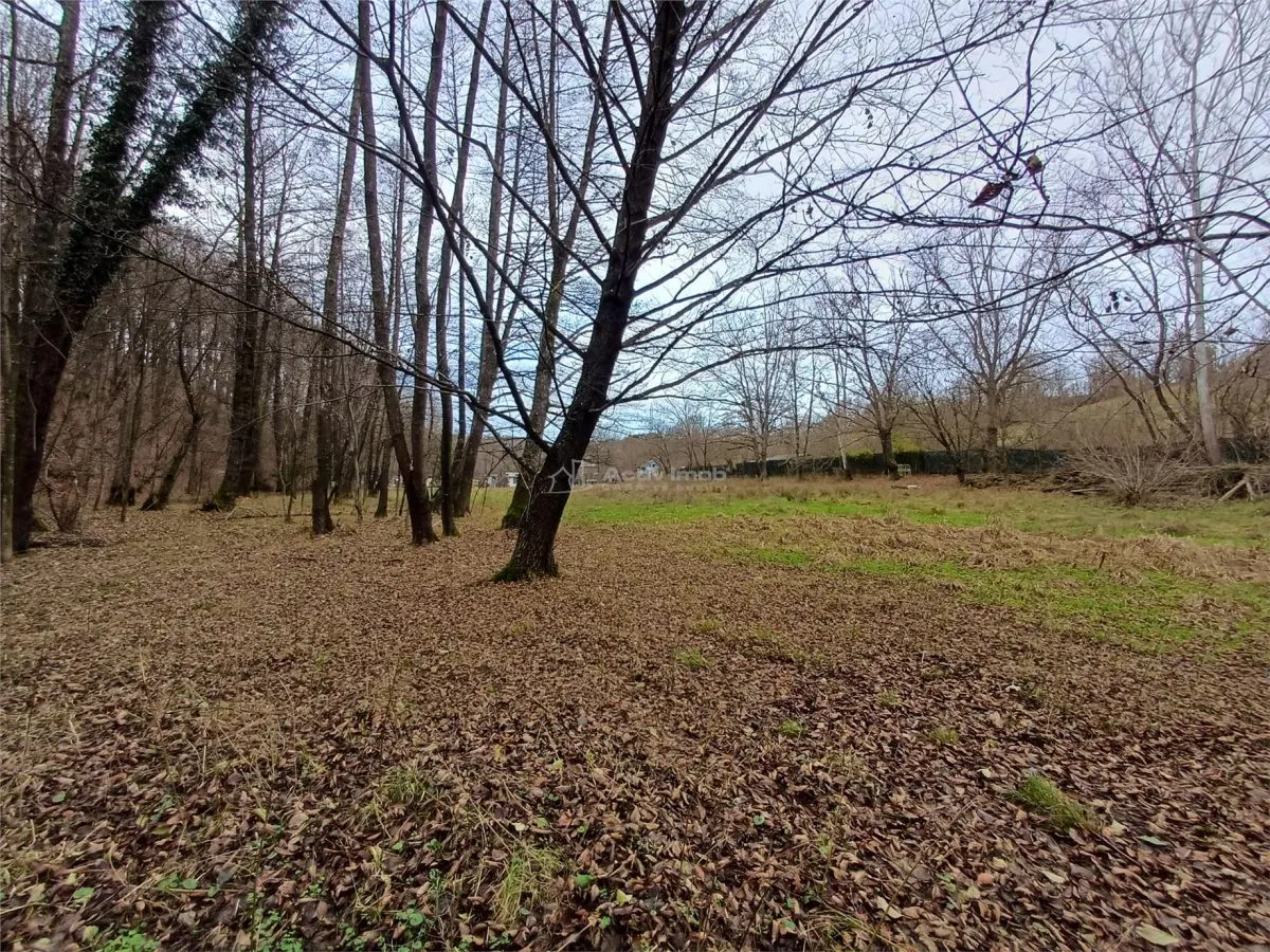 Resita, Teren Drept Intravilan, Langa Prau si Drum, Parcelabil, 4500 Mp., 15 Euro/Mp., Renk - foto 10