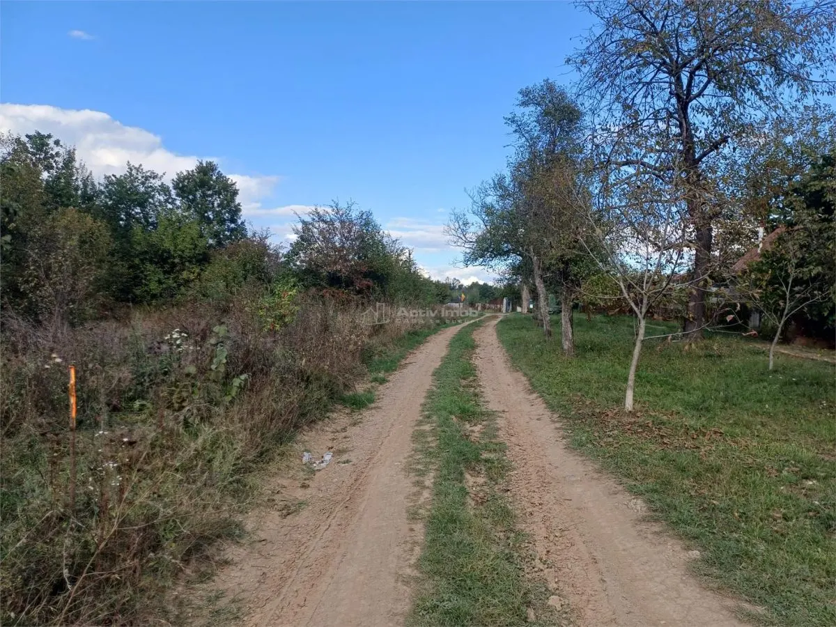Resita, Teren Intravilan 2819 Mp., 16 Euro/Mp., Calea Caransebesului, Km. 6 - foto 13