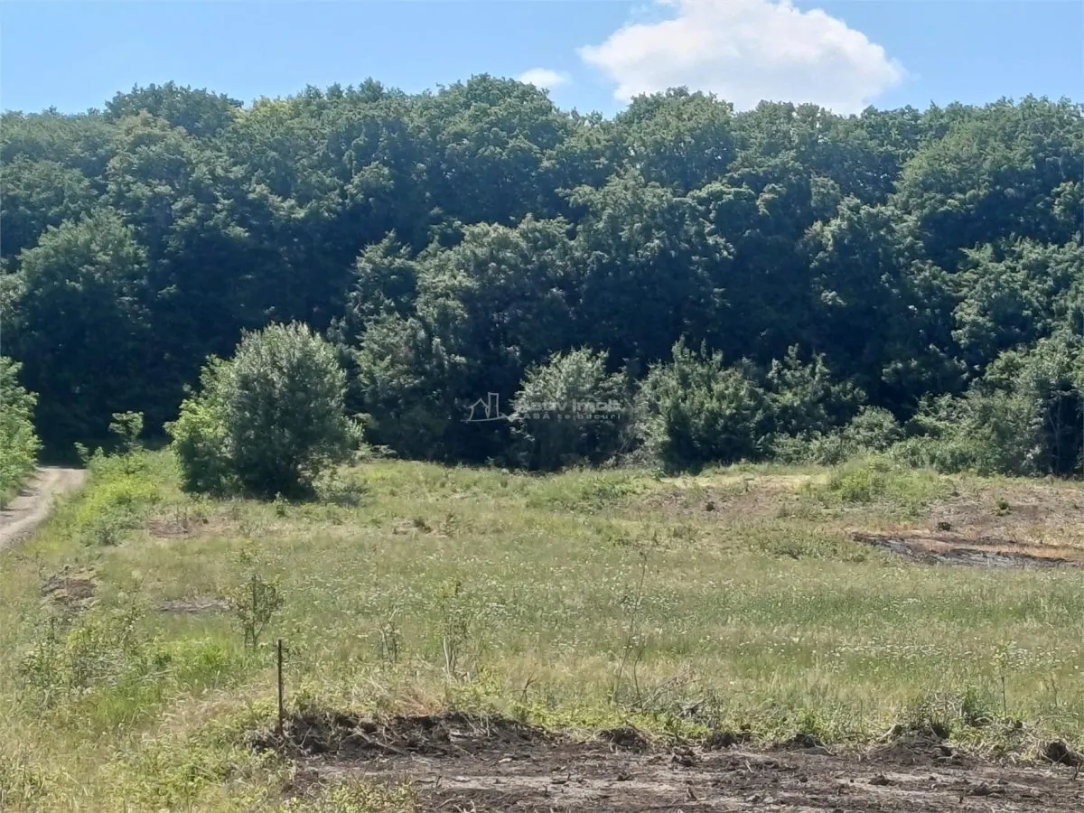 Teren 1000 mp de vanzare la Liziera Padurii - foto 3