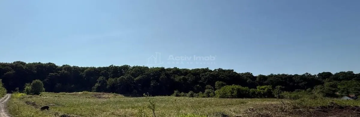 Teren 1000 mp de vanzare la Liziera Padurii - foto 5