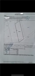 班尼亚萨森林地块 – 绝佳机遇 - Bucuresti