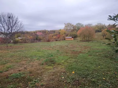 Teren parcelabil, in zona curata si linistita, la 10 minute de Ploiesti - foto 2