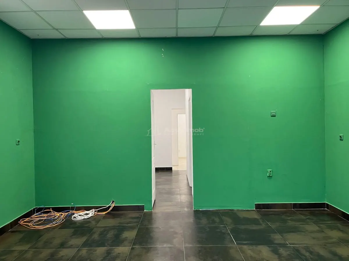 LUGOJ, DE INCHIRIAT – SPATIU COMERCIAL CENTRAL, 95 MP, (LANGA POLITIE) - foto 12