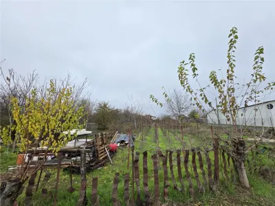 Terrain Branesti - Str Oltului - 1 600 m² - Façade 16 ml - foto 2