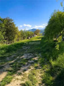 Teren de vanzare langa Camping Rotarii cu proiect de casa - foto 5