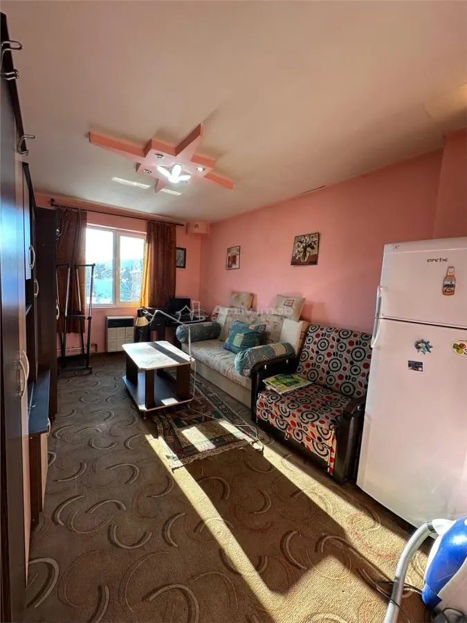 Resita, Studio avec Cuisine et Salle de Bain, Zone Lunca - foto 16