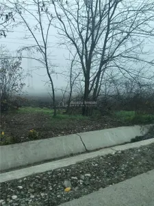Terenuri de vanzare in Cornetu si Buda-Toate utilitatile-Asfalt - foto 4