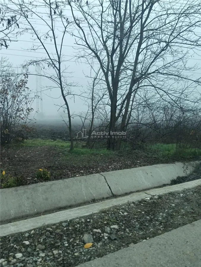 Terenuri de vanzare in Cornetu si Buda-Toate utilitatile-Asfalt - foto 4