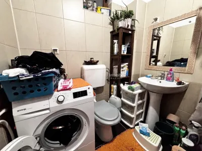Casa cu grădina - Cartierul Nou - foto 5