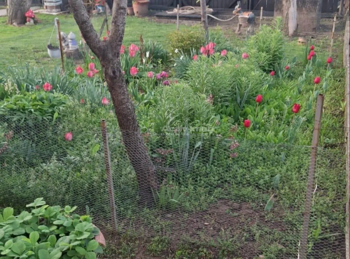 Casa, cocheta, situata pe o strada linistita, la 10 km de Ploiesti - foto 9
