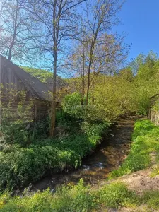 Teren intravilan cu iesire la rau cu utilitati si sura intabulata - foto 2