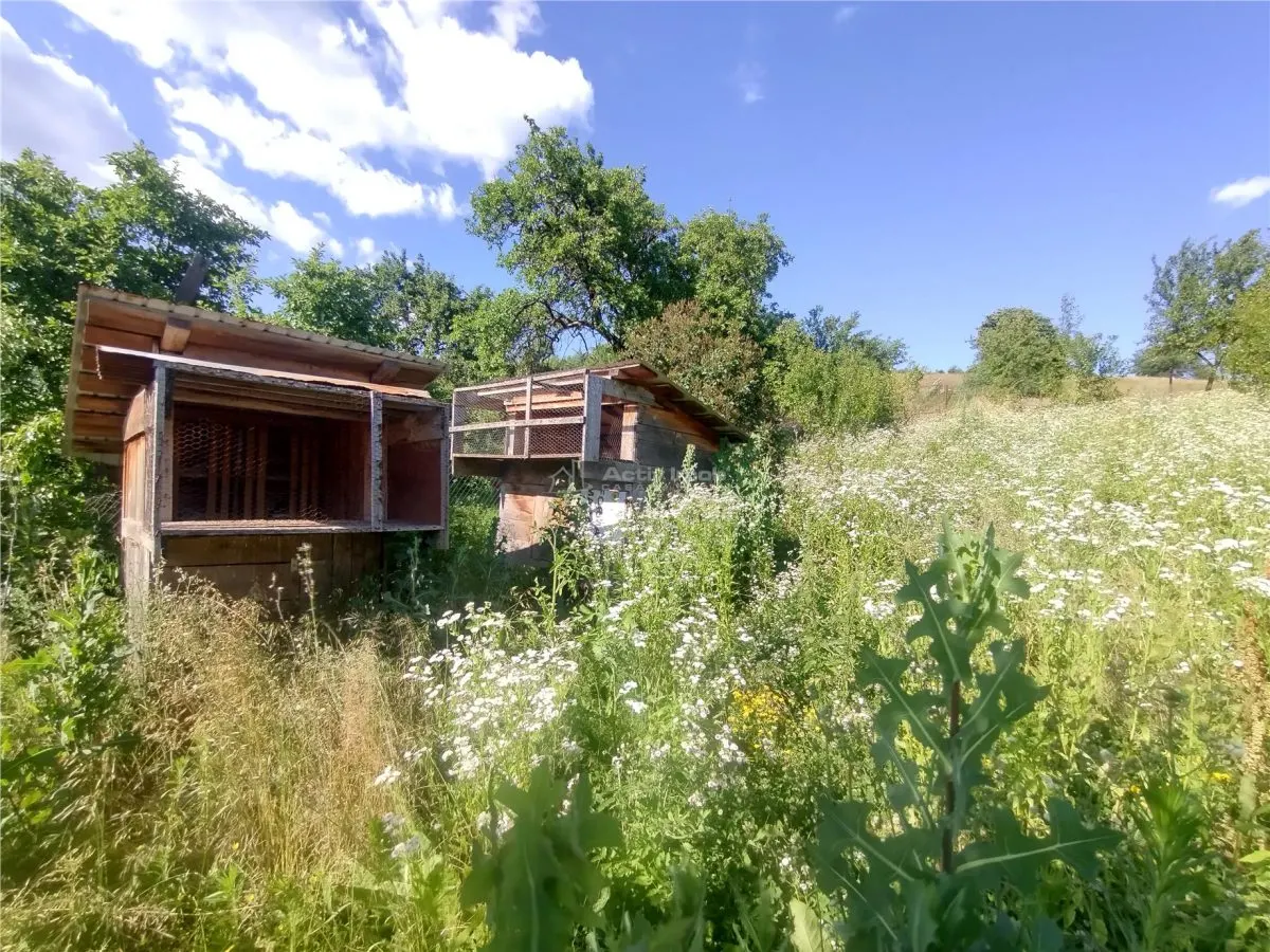 Anina | Maison Individuelle | 3 Pièces + Dépendances | Terrain 575 m² - foto 20