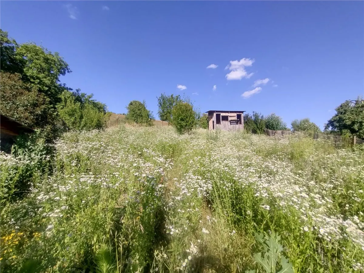 Anina | Maison Individuelle | 3 Pièces + Dépendances | Terrain 575 m² - foto 21