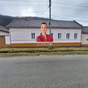 Bocsa Montana, Casa mare la strada principala - Bocsa