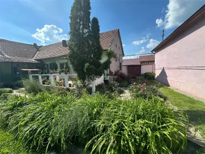 Bocsa Montana, Substantial Family Home on Main Road - foto 2