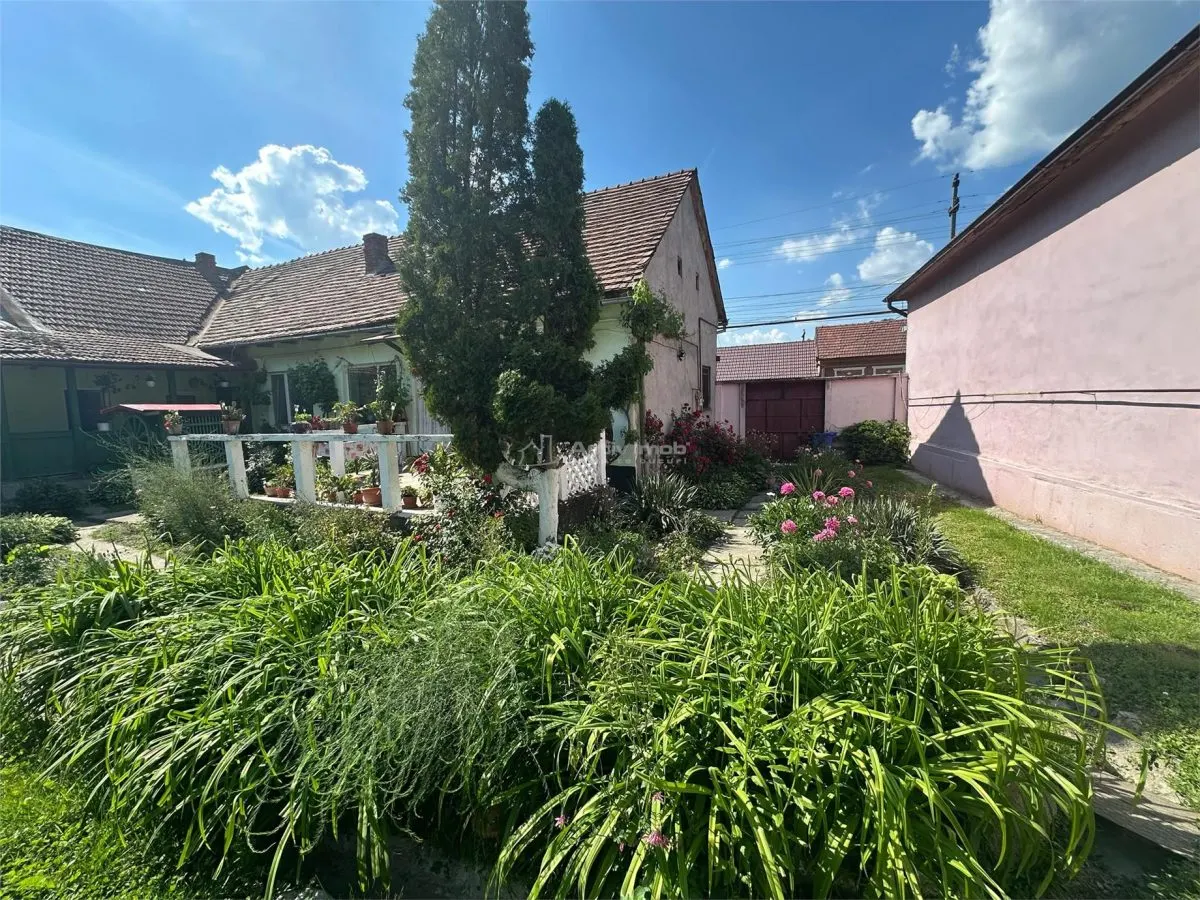 Bocsa Montana, Substantial Family Home on Main Road - foto 2