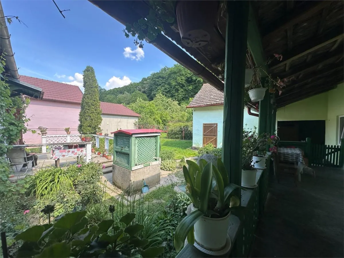Bocsa Montana, Substantial Family Home on Main Road - foto 12