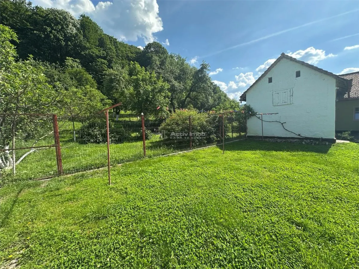 Bocsa Montana, Substantial Family Home on Main Road - foto 15