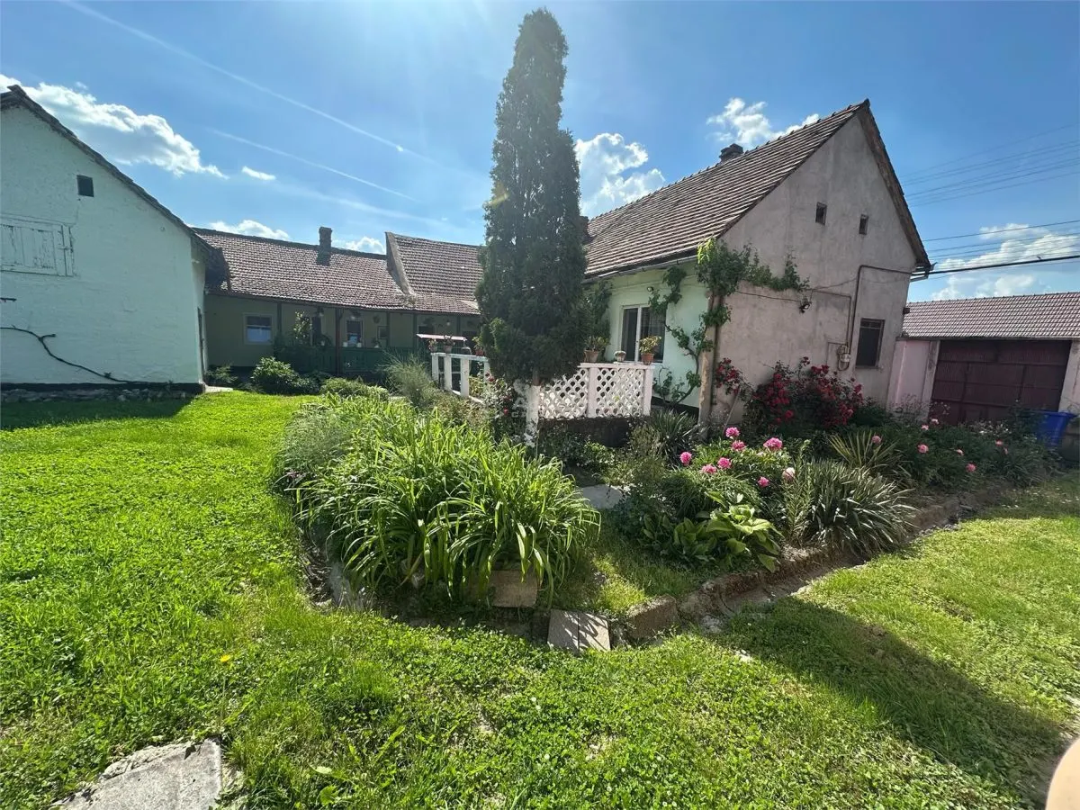 Bocsa Montana, Substantial Family Home on Main Road - foto 22