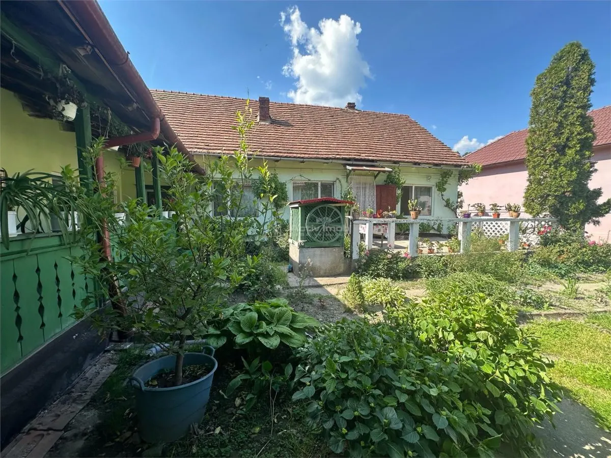 Bocsa Montana, Substantial Family Home on Main Road - foto 23