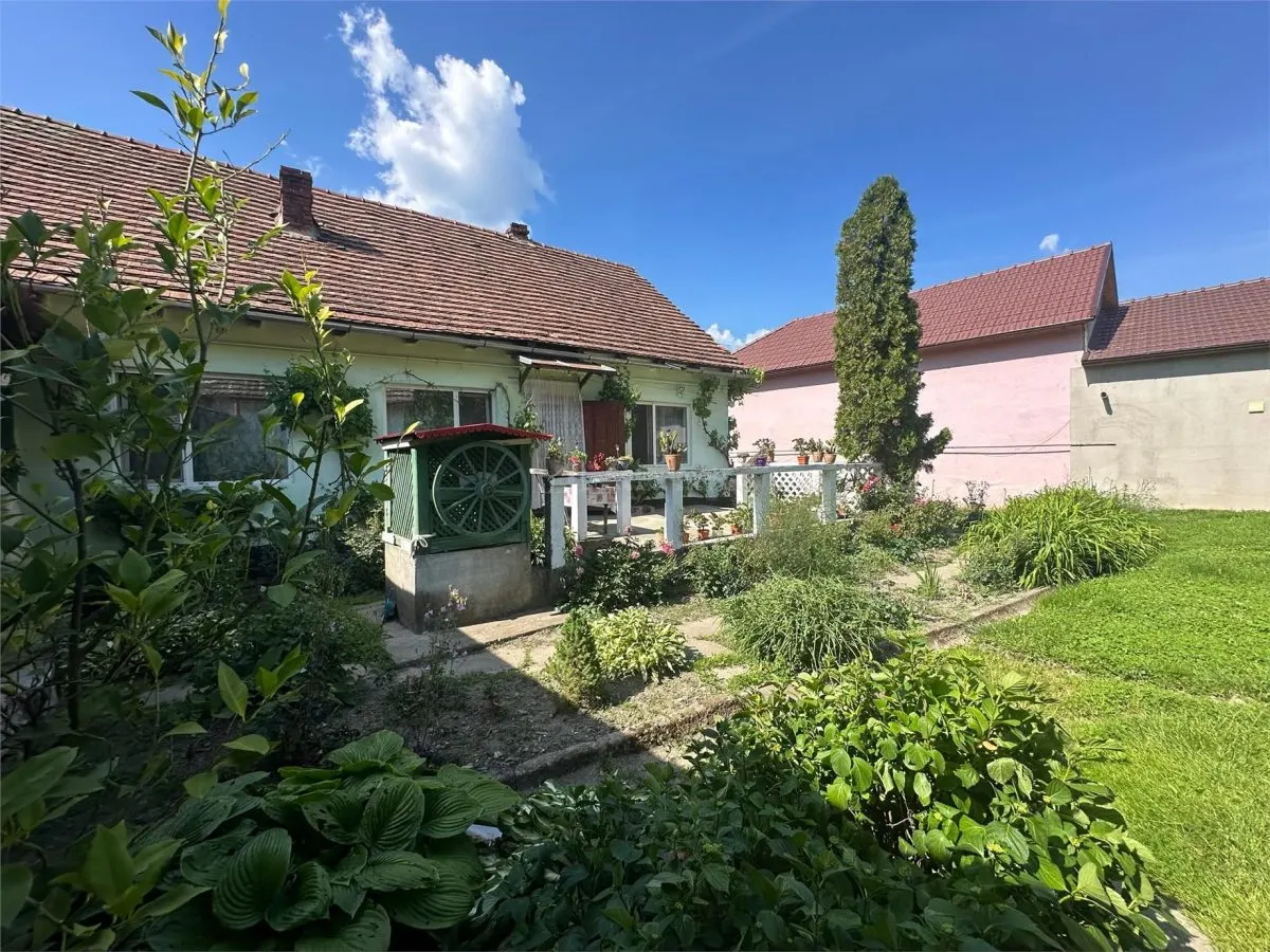 Bocsa Montana, Substantial Family Home on Main Road - foto 24