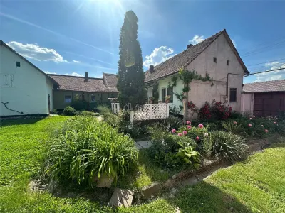 Bocsa Montana, Substantial Family Home on Main Road - foto 25