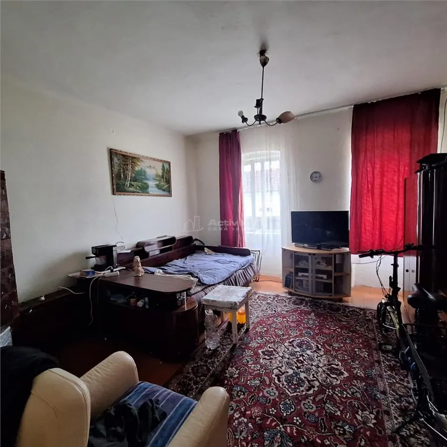 Bocsa Montana, Substantial Family Home on Main Road - foto 10