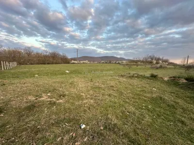 博克萨罗马尼亚：两块开发用地 – 10,000 m²和80,000 m²（靠近特兰萨维亚） - foto 6
